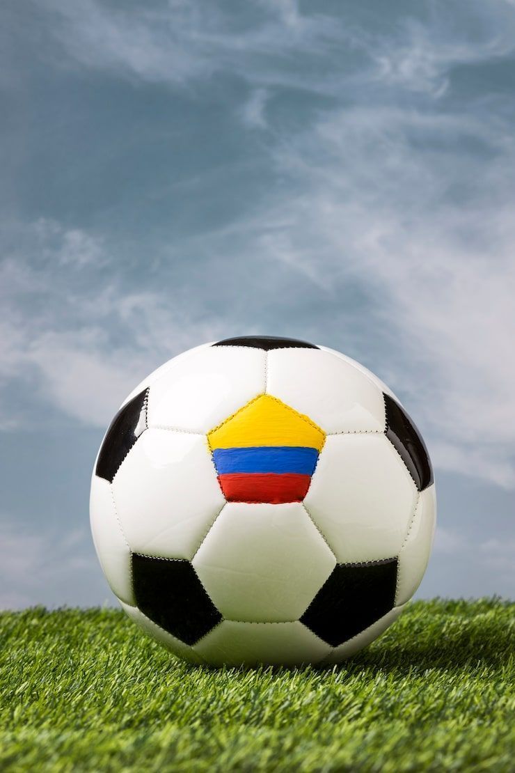 740x1110 Sepak takraw ball ball Image