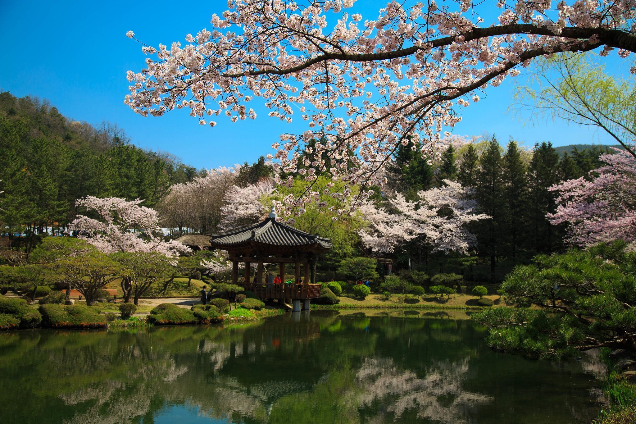 2048x1365 Gyeongju Travel Photography Guide