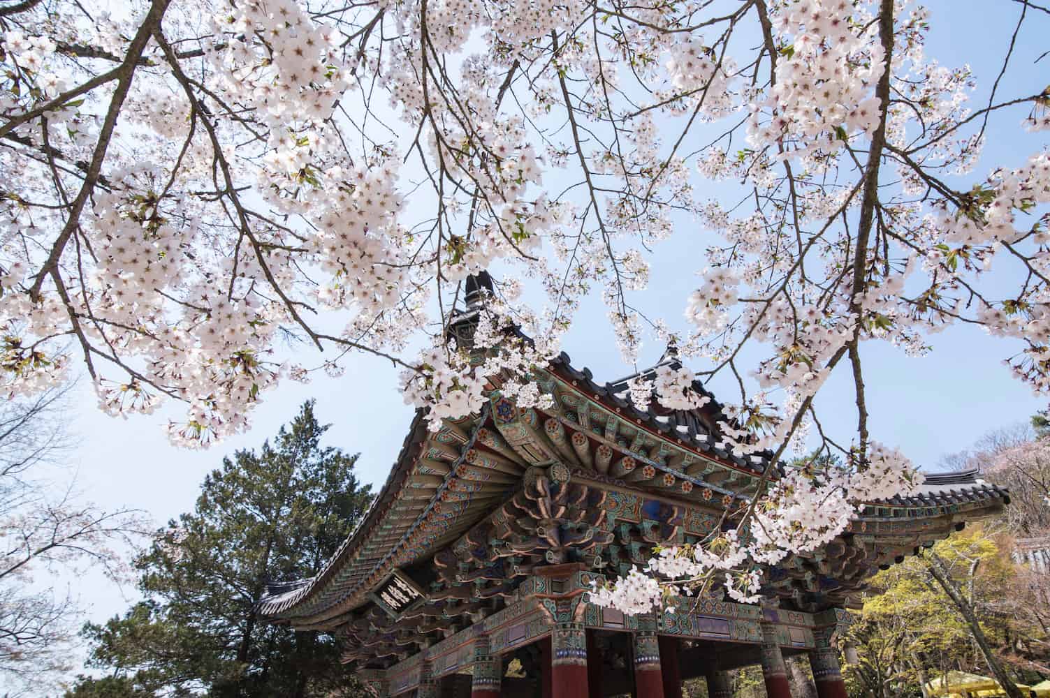 1503x1000 Magic & Beauty in South Korea's Gyeongju • We Blog The World