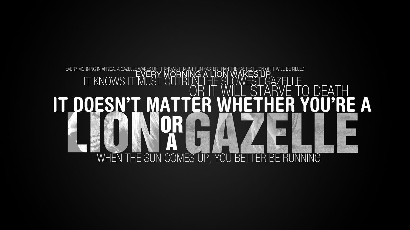 1366x768 Sư tử hoặc một Gazelle [1366x768)
: hình nền