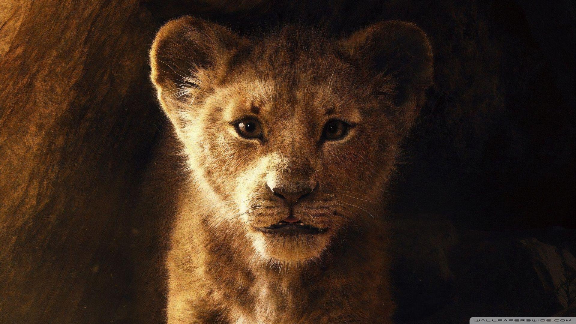 1920x1080 Lion King 2019 Sad