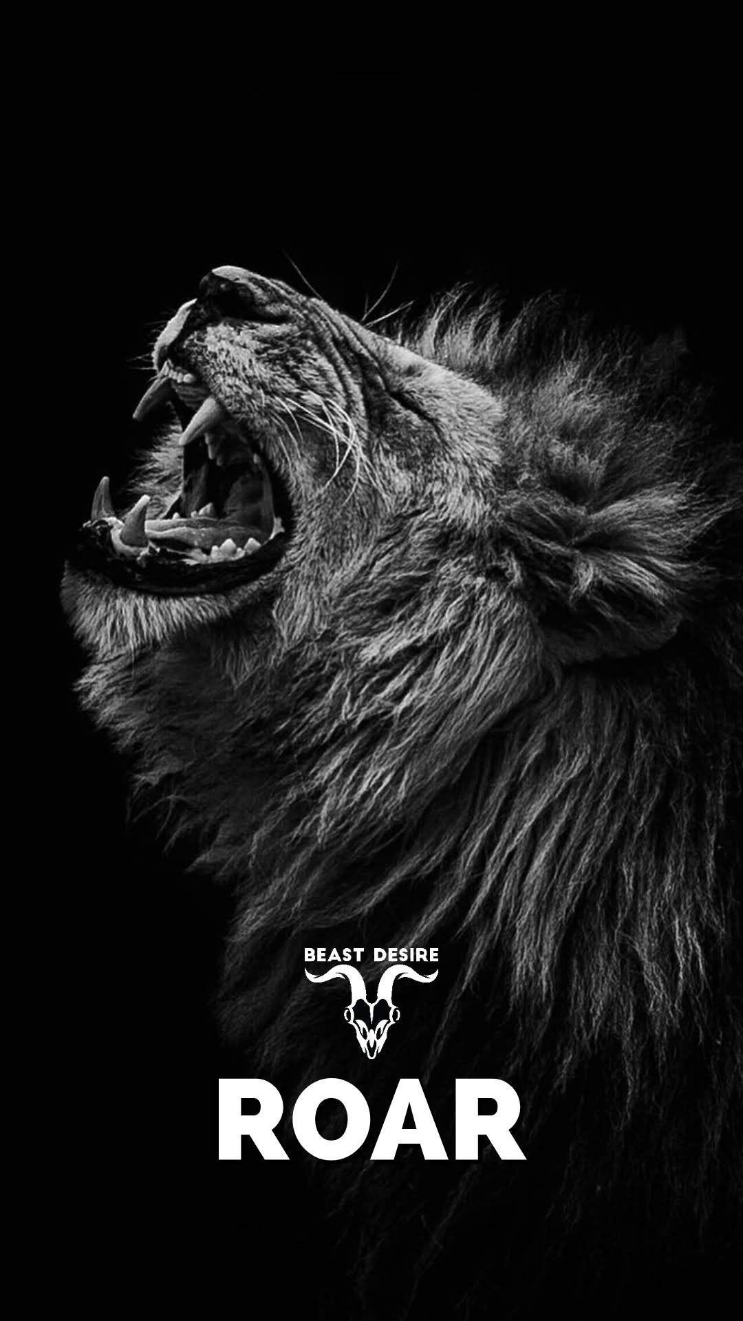 Lion Motivation Wallpapers - Top Free Lion Motivation Backgrounds