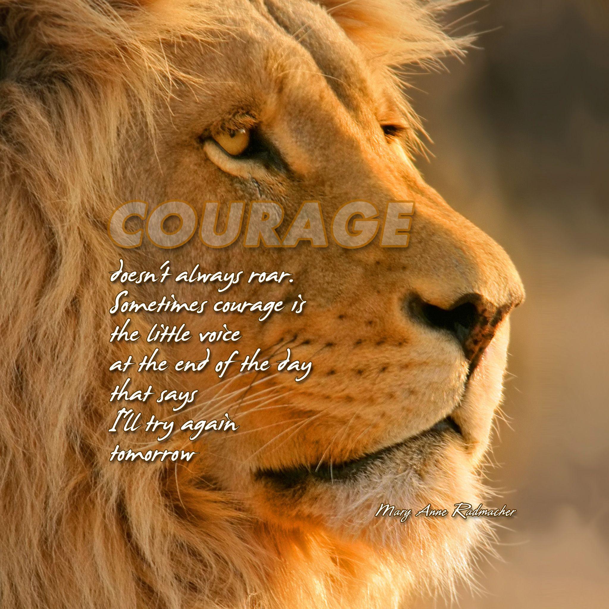 Lion Motivation Wallpapers - Top Những Hình Ảnh Đẹp