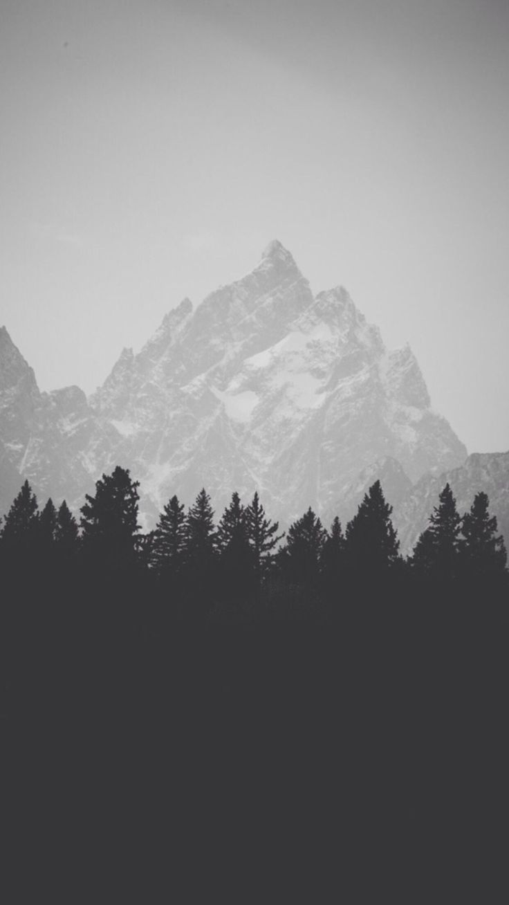 736x1308 BEAUTIFUL NATURE WALLPAPER FREE TO DOWNLOAD