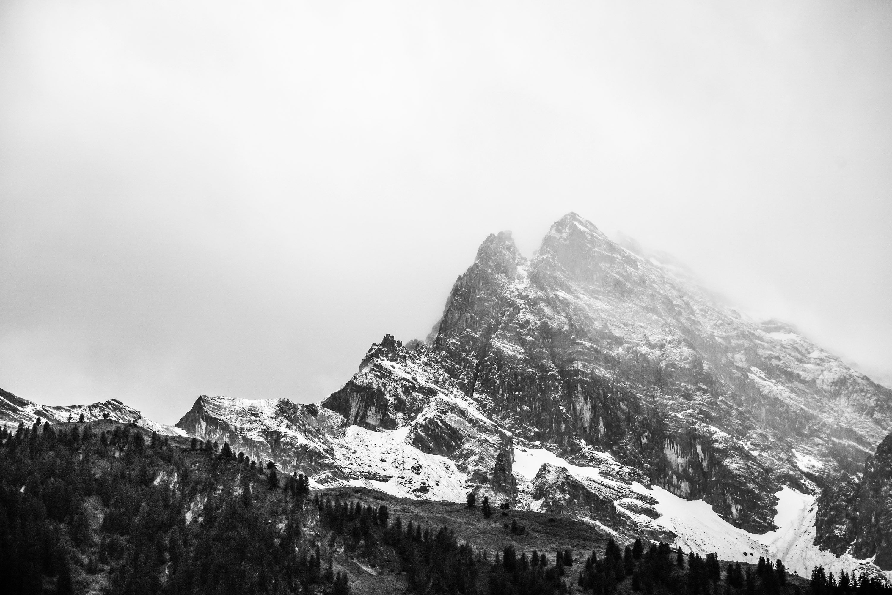3000x2003 Black And White Wallpaper: Free HD Download [4K]