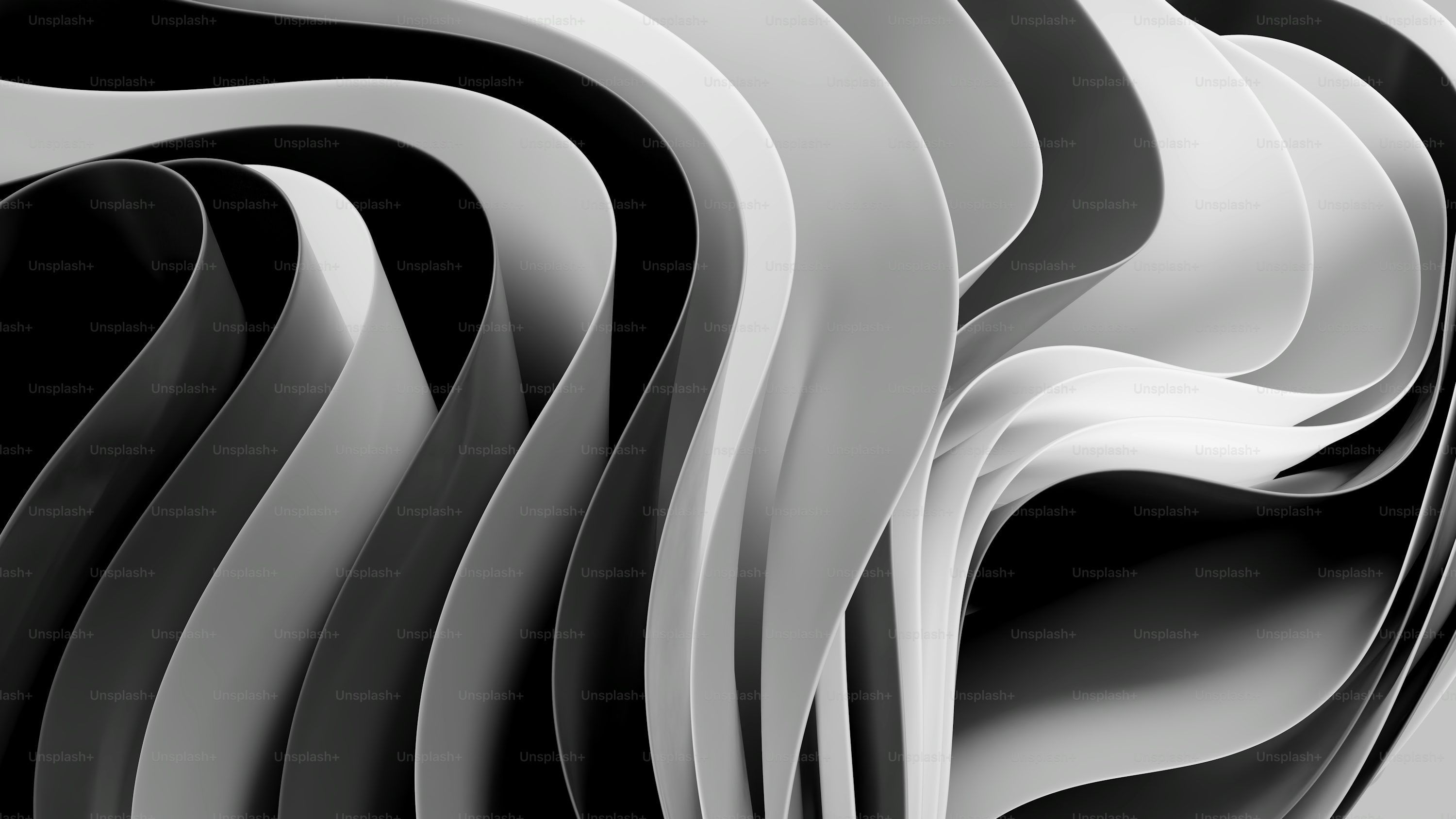 3000x1688 Black And White Wallpaper: Free HD Download [4K]