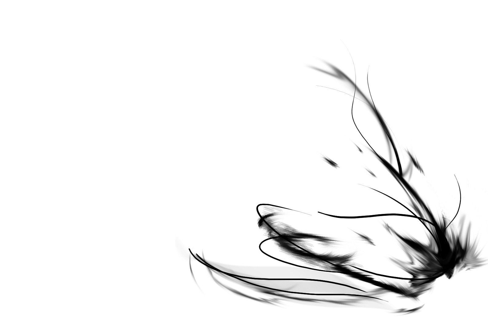 1600x1050 Elegant Abstract White HD Wallpaperx1050