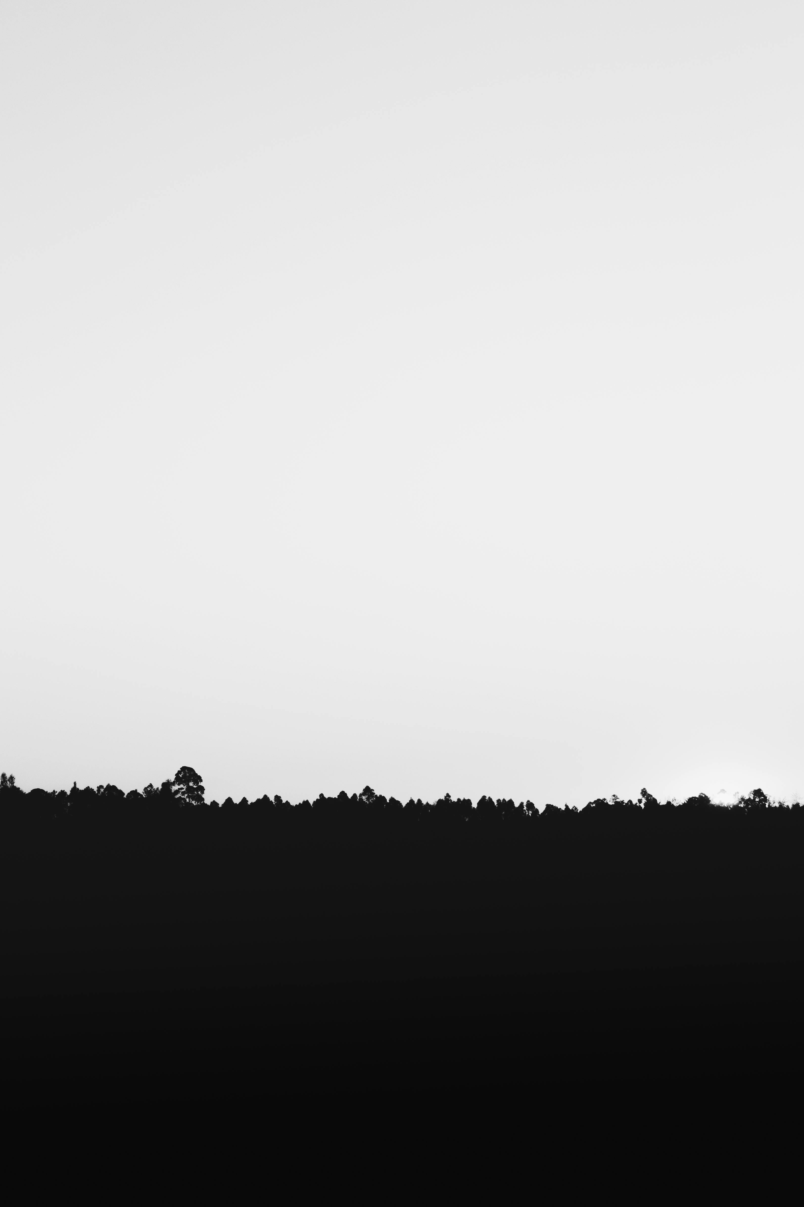3250x4875 Black Background Photo, Download The BEST Free Black Background & HD Image