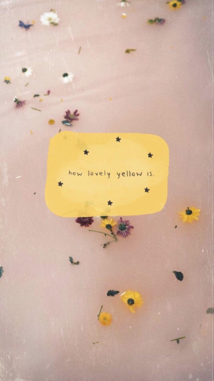 719x1280 Funny Aesthetic Wallpaper