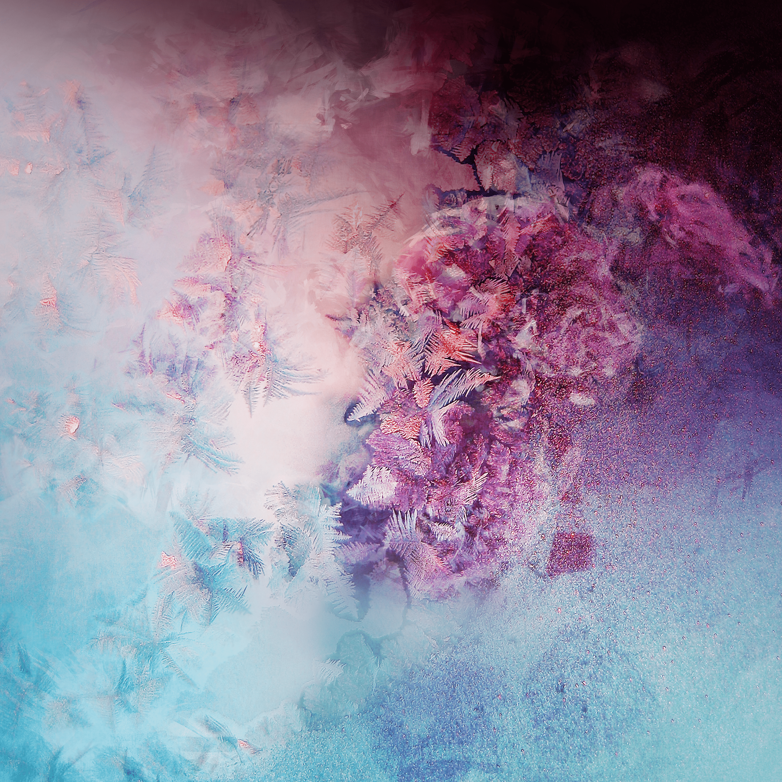 2560x2560 Download Samsung Galaxy S10 5G wallpaper