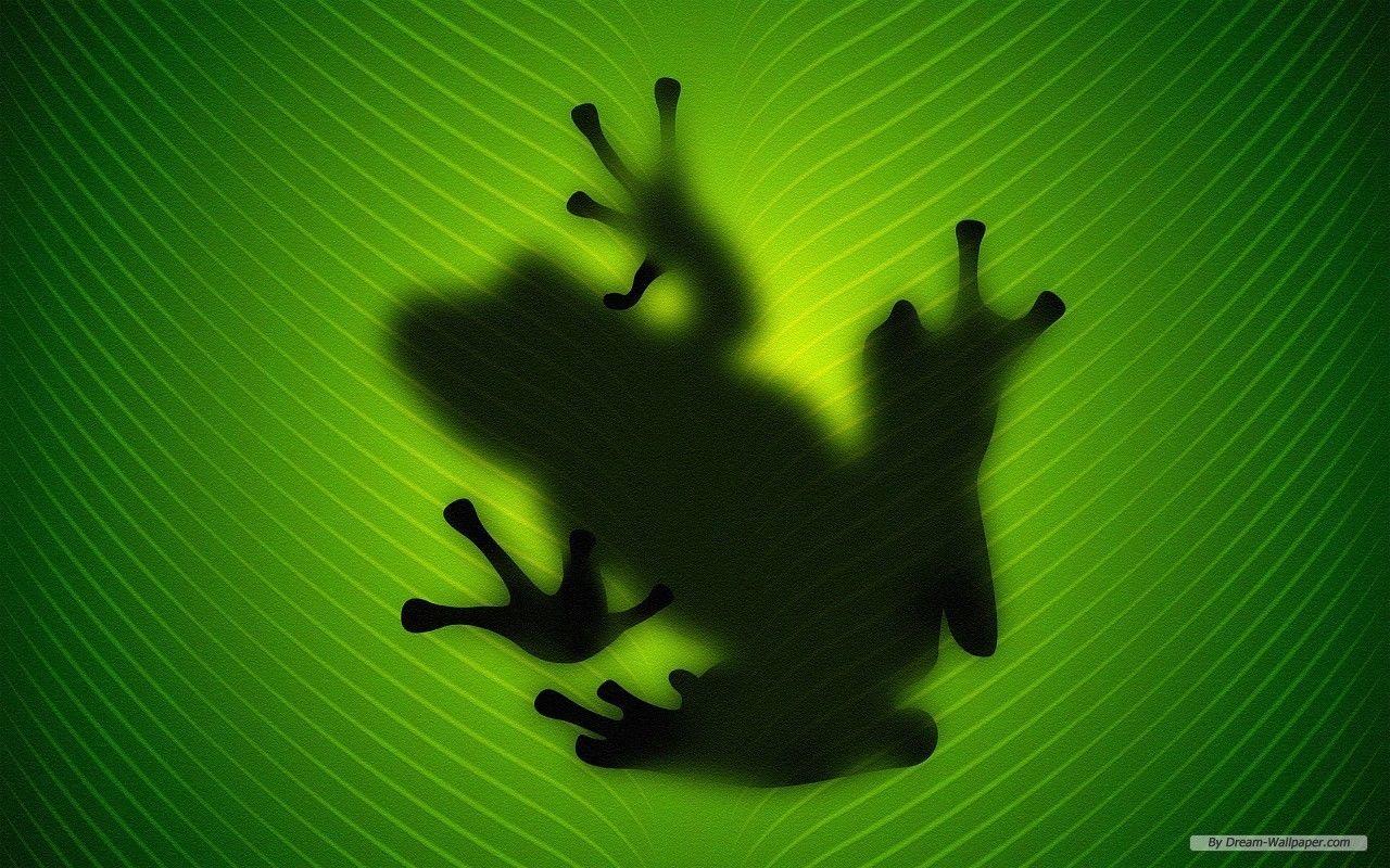 1280x800 Toad Wallpaper