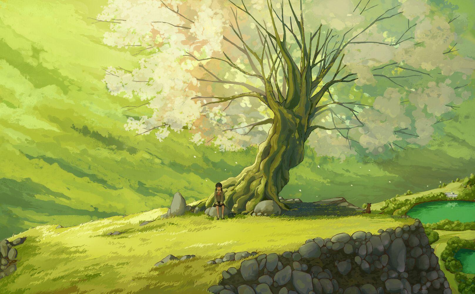  Anime Field With Sky Wallpaper Background HD Download  CBEditz