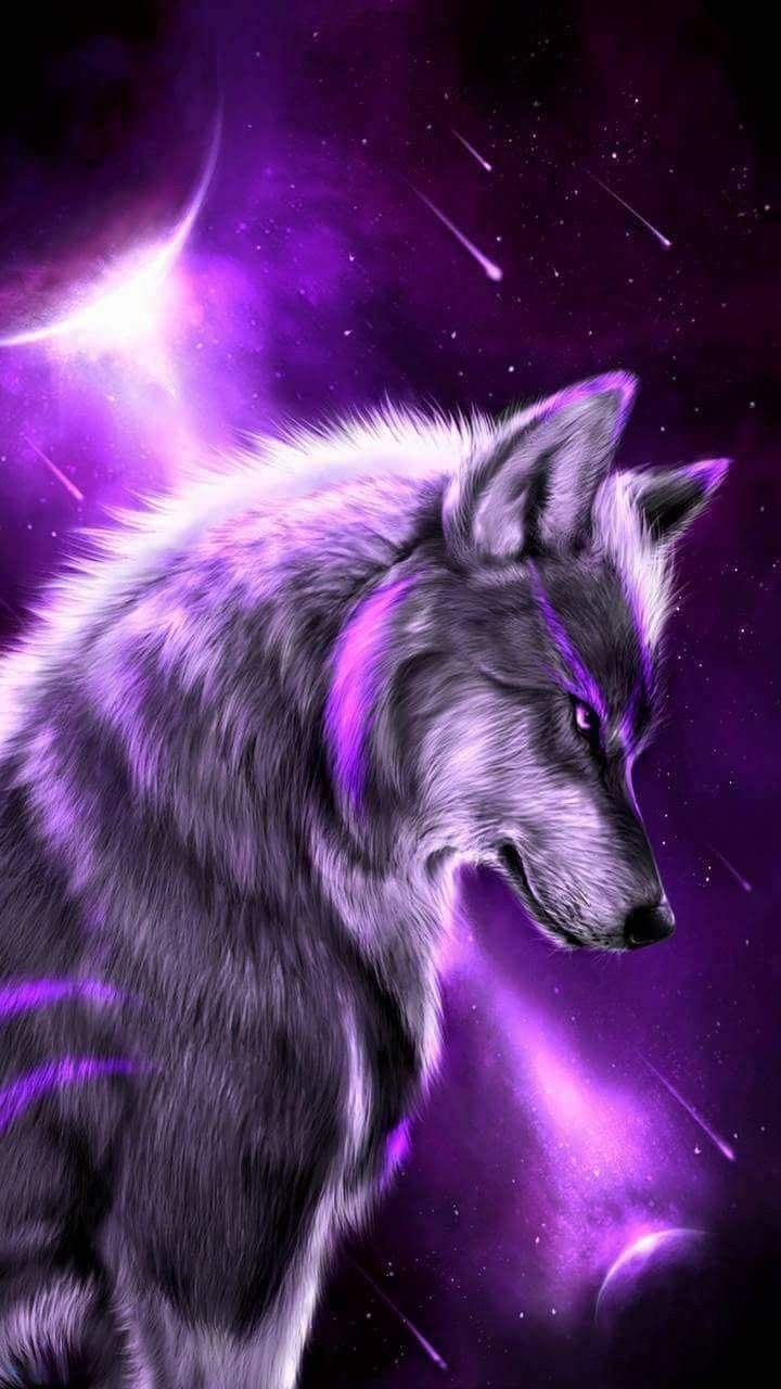 720x1280 Phone Wallpaper. Wolf wallpaper, Wolf