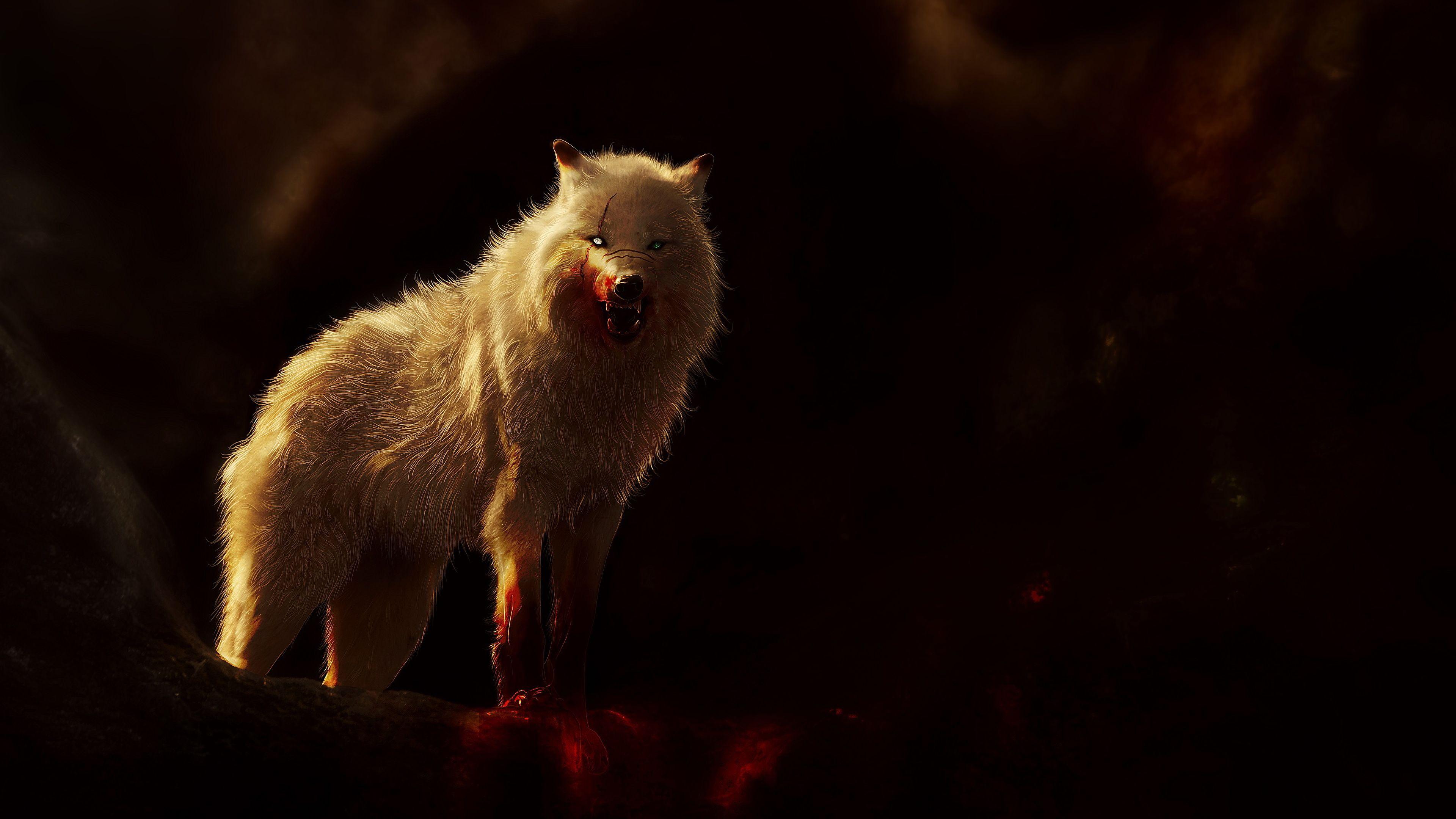 Blood Wolf Wallpaper
