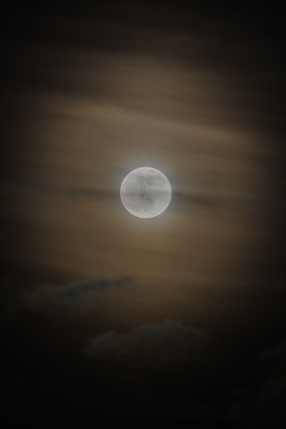 1000x1500 Super Wolf Blood Moon Picture. Download Free Image