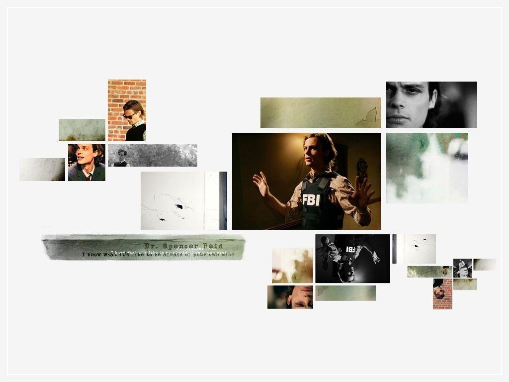 1024x768 Dr. Reid. Spencer Reid Wallpaper