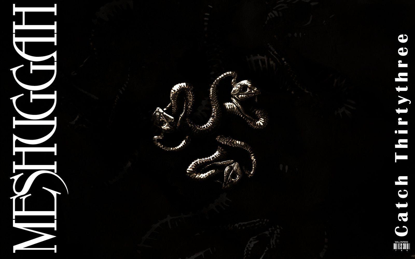 1600x1000 Meshuggah Wallpaper