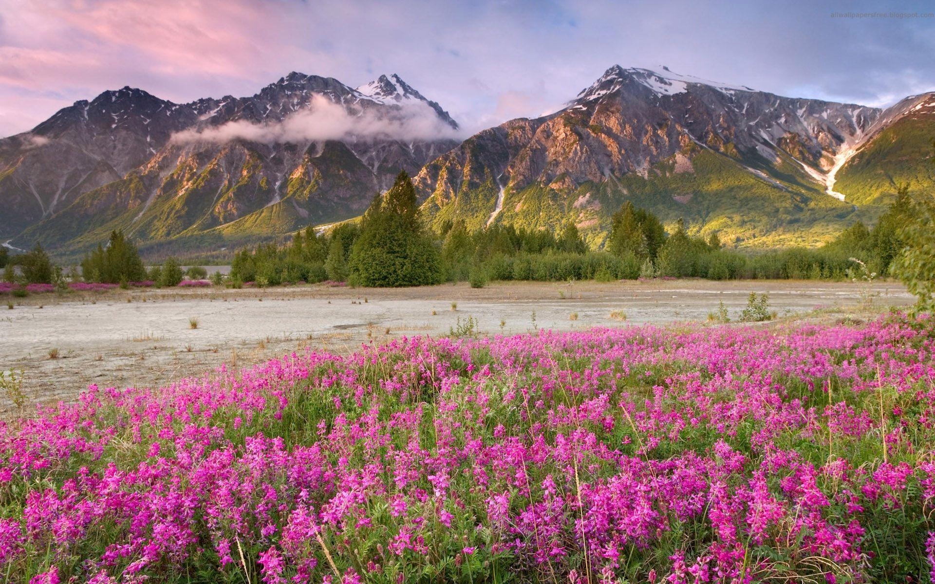 1920x1200 landscapes. Landscapes, wallpaper, background, canada, canda