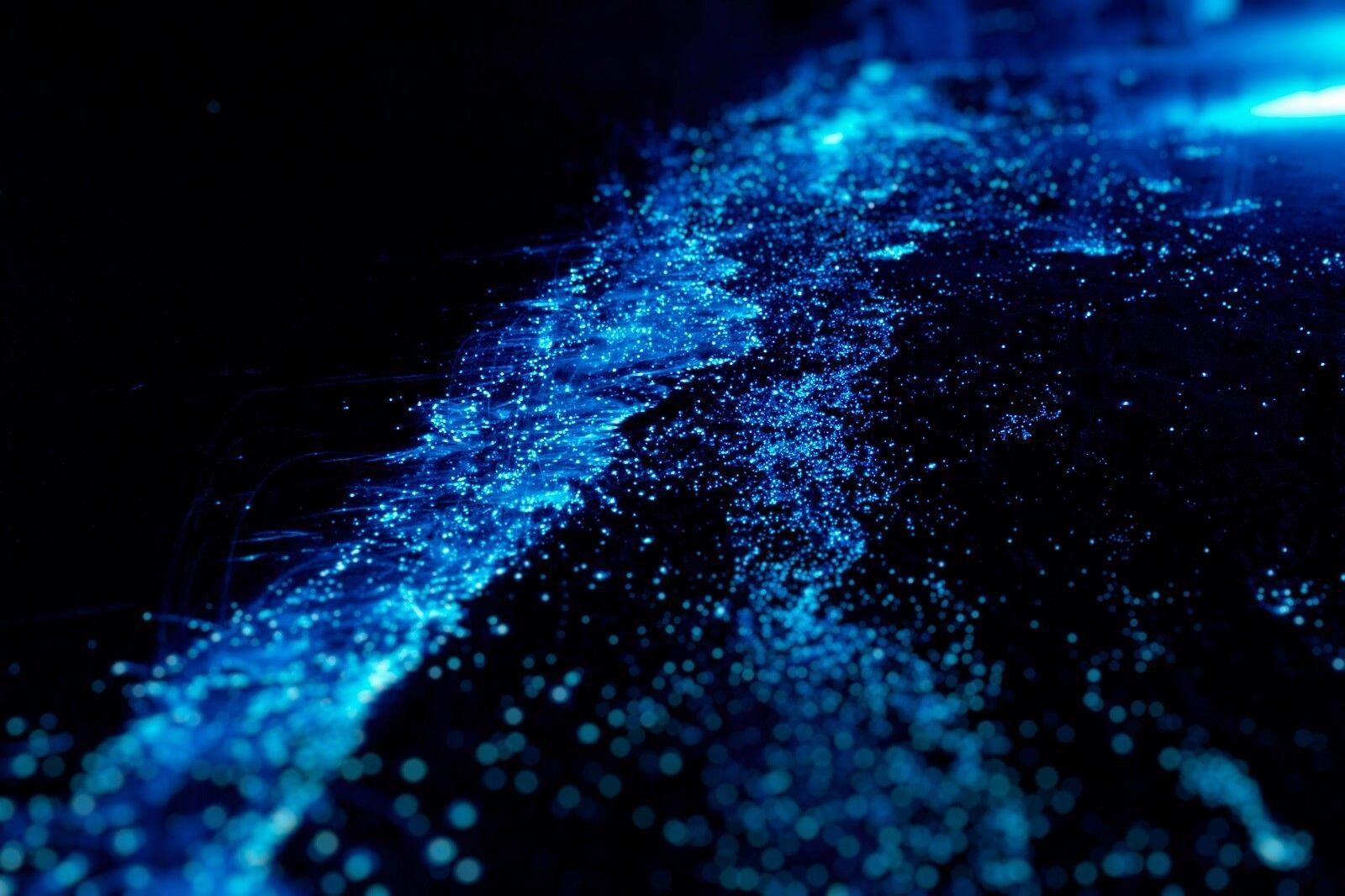 1600x1066 Here's Why You Will Love the Bioluminescent Bay in Grand Cayman