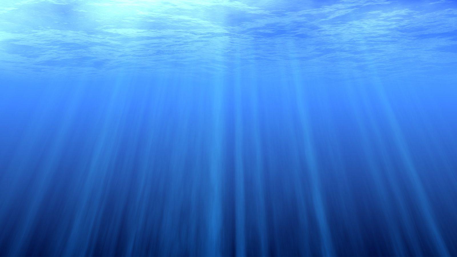 1600x900 Free download Deep Sea Creatures Bioluminescence Publish