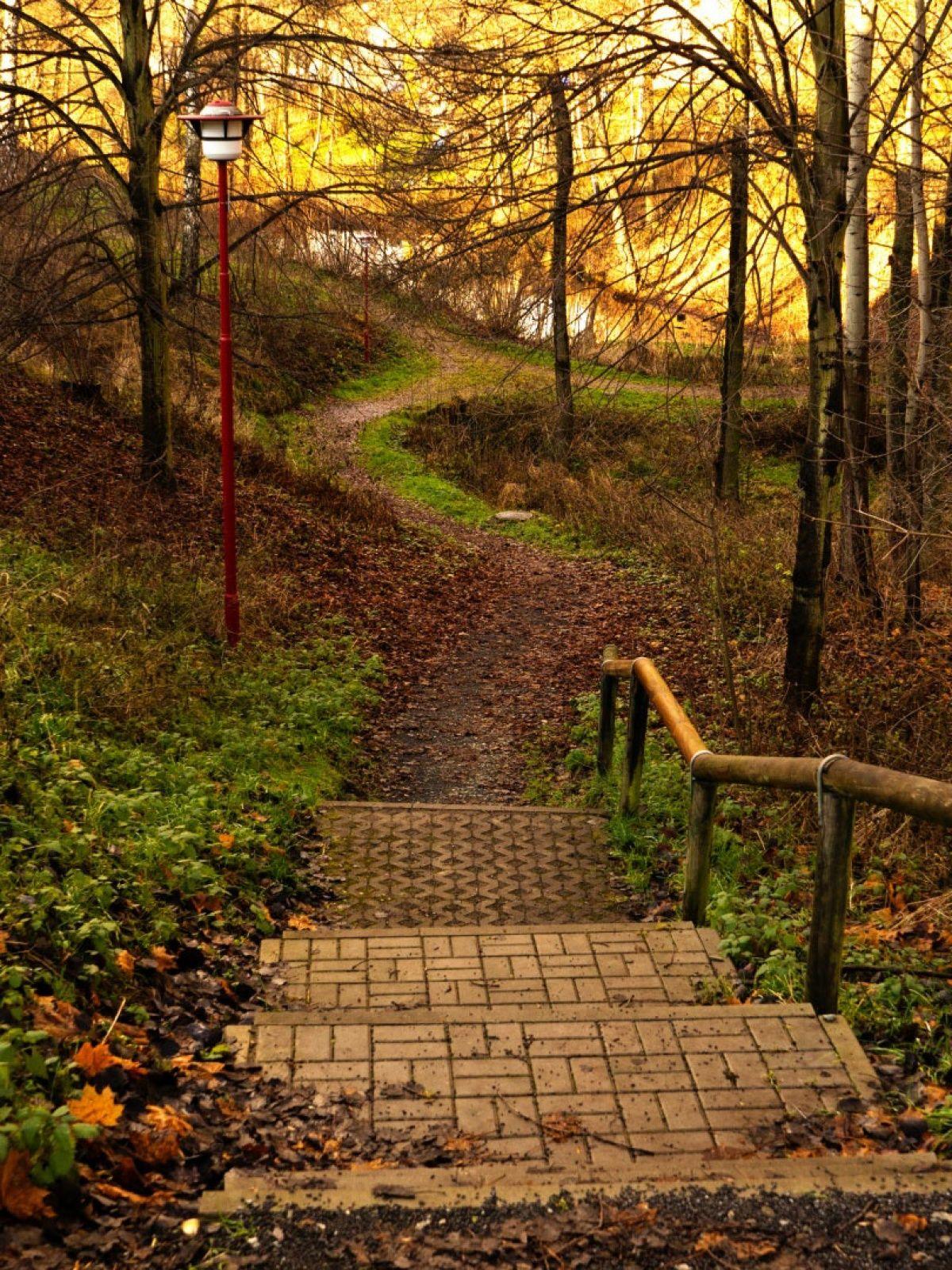 1200x1600 Nature