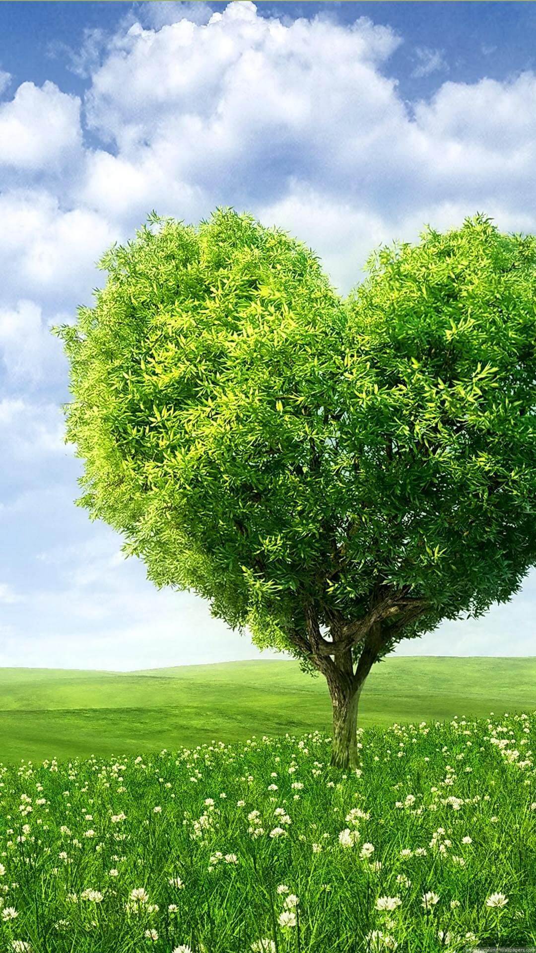 1080x1920 Hd Wallpaper Of Nature For Android Mobile, Download