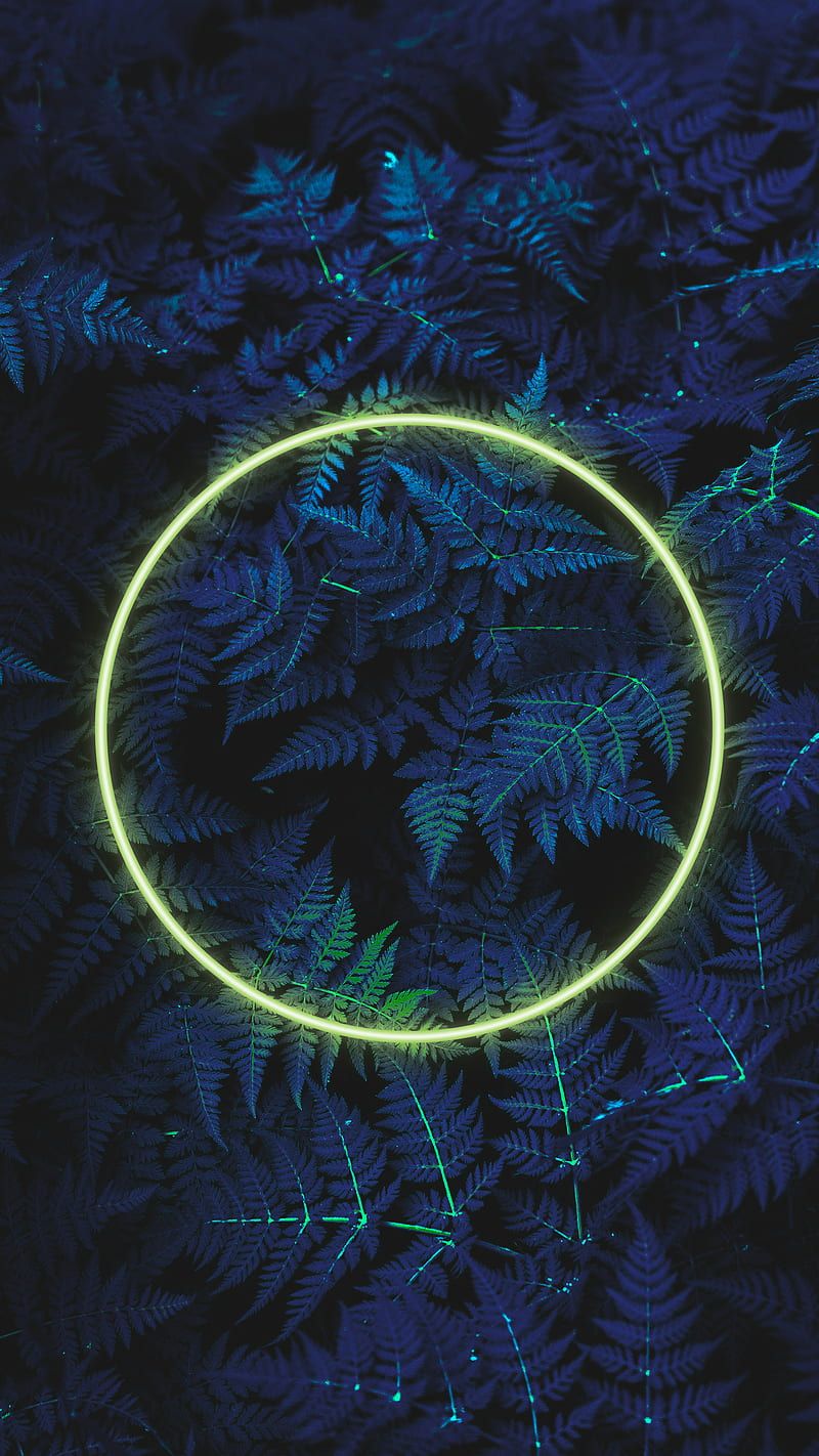 800x1422 Creation, concept, dark, fog, mars, mood, mystic, planet, scifi, walk, HD phone wallpaper