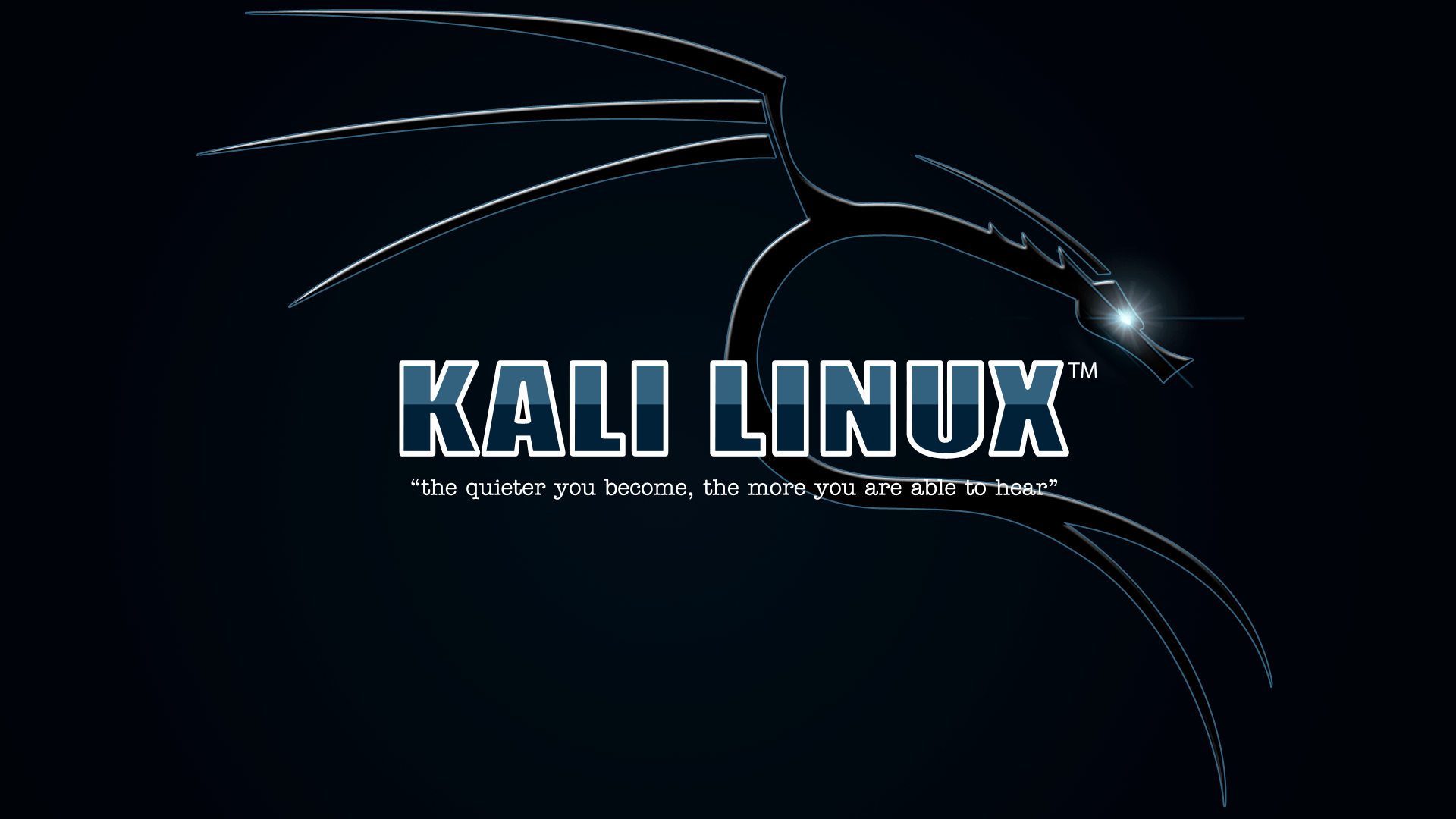 408894 4K, blue, Backtrack Linux, Linux, Kali Linux - Rare Gallery HD  Wallpapers