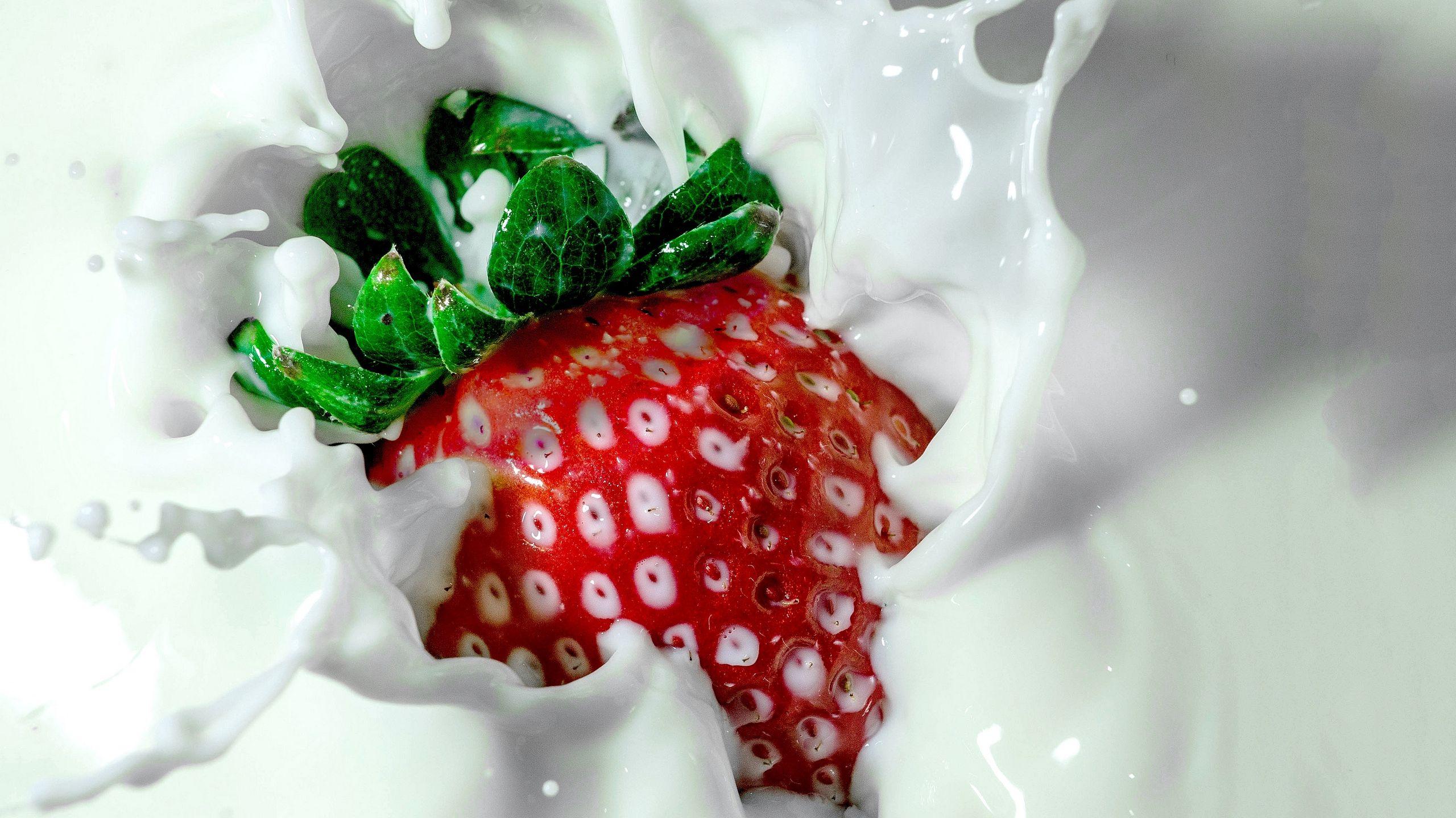 2560x1440 Download wallpaper 2560x1440 strawberry, milk, spray widescreen 16