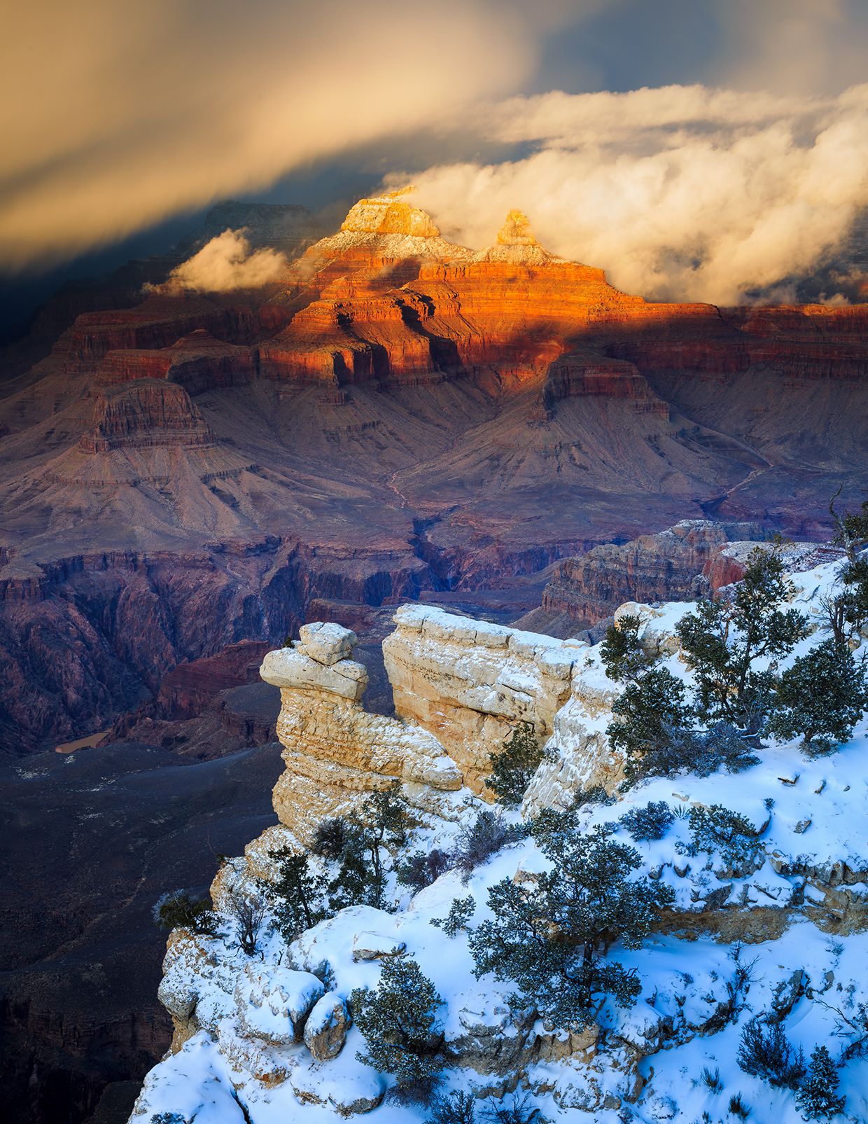 1240x1605 Grand Canyon