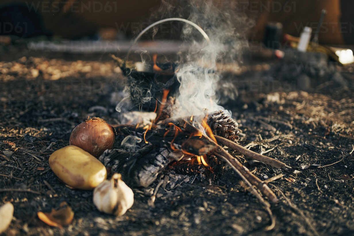 1232x821 Surface level of cooking food over flames from campfire
