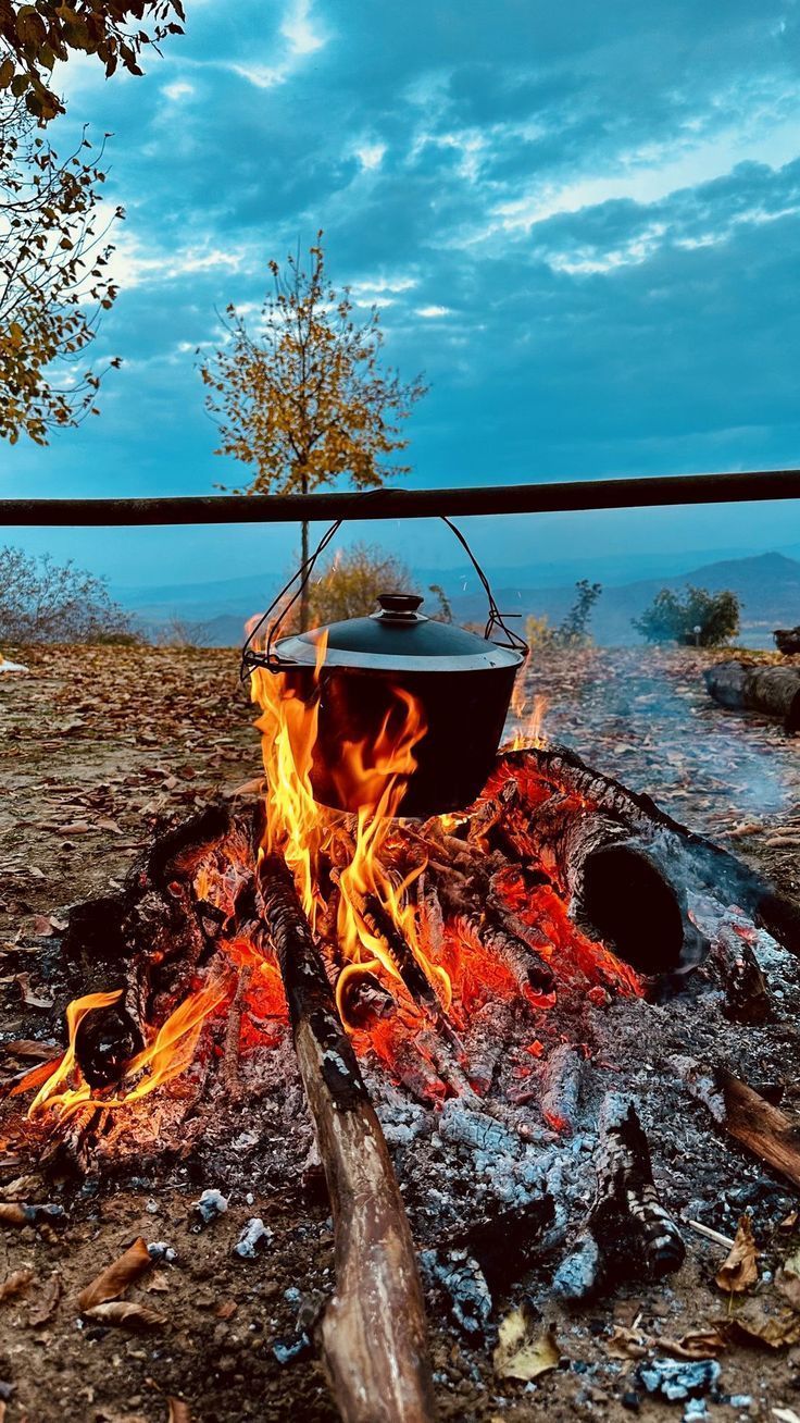 736x1308 Campfire Cooking Wallpaper