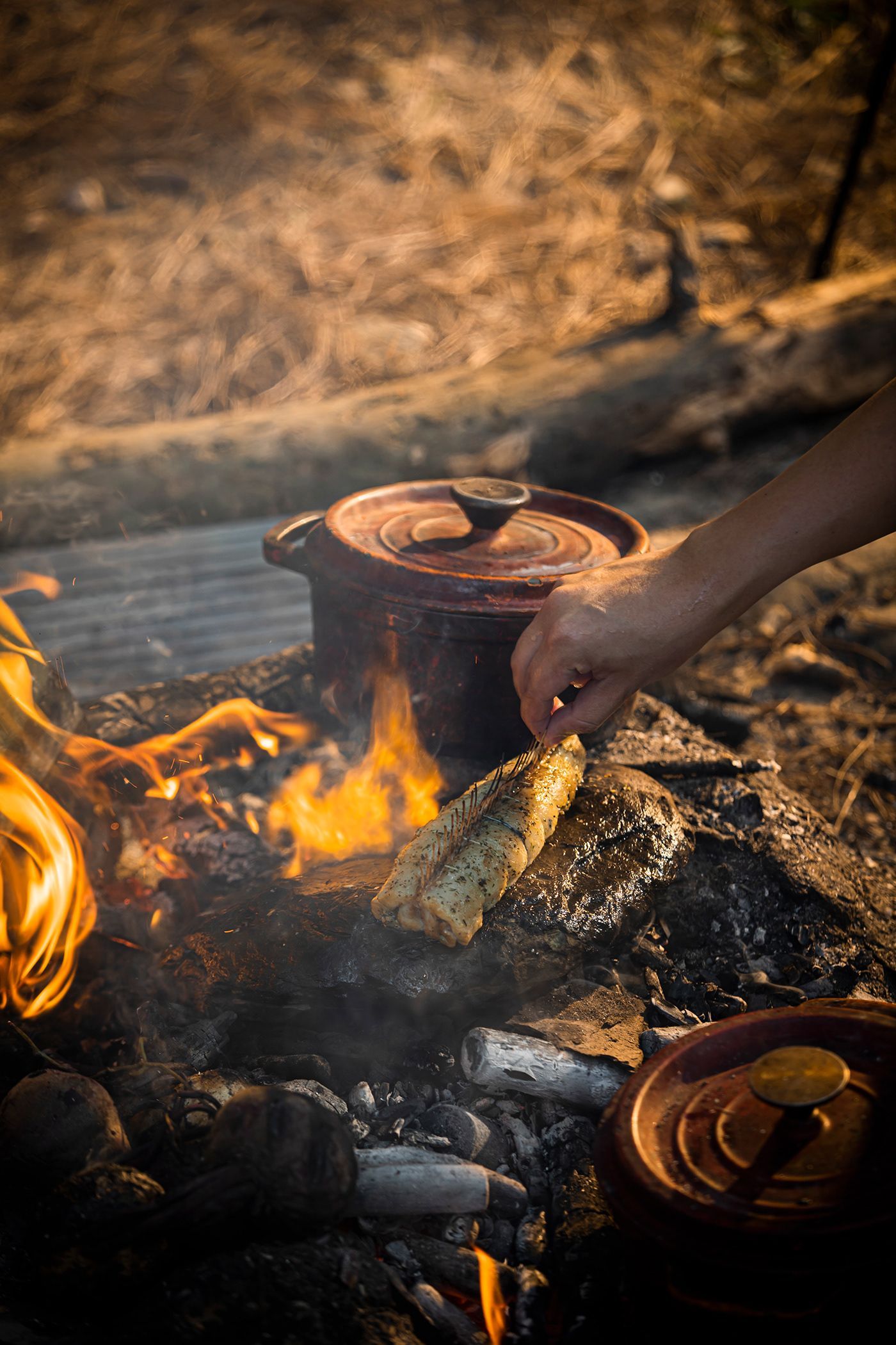 1400x2100 CAMPFIRE DINING GRILL - Behance