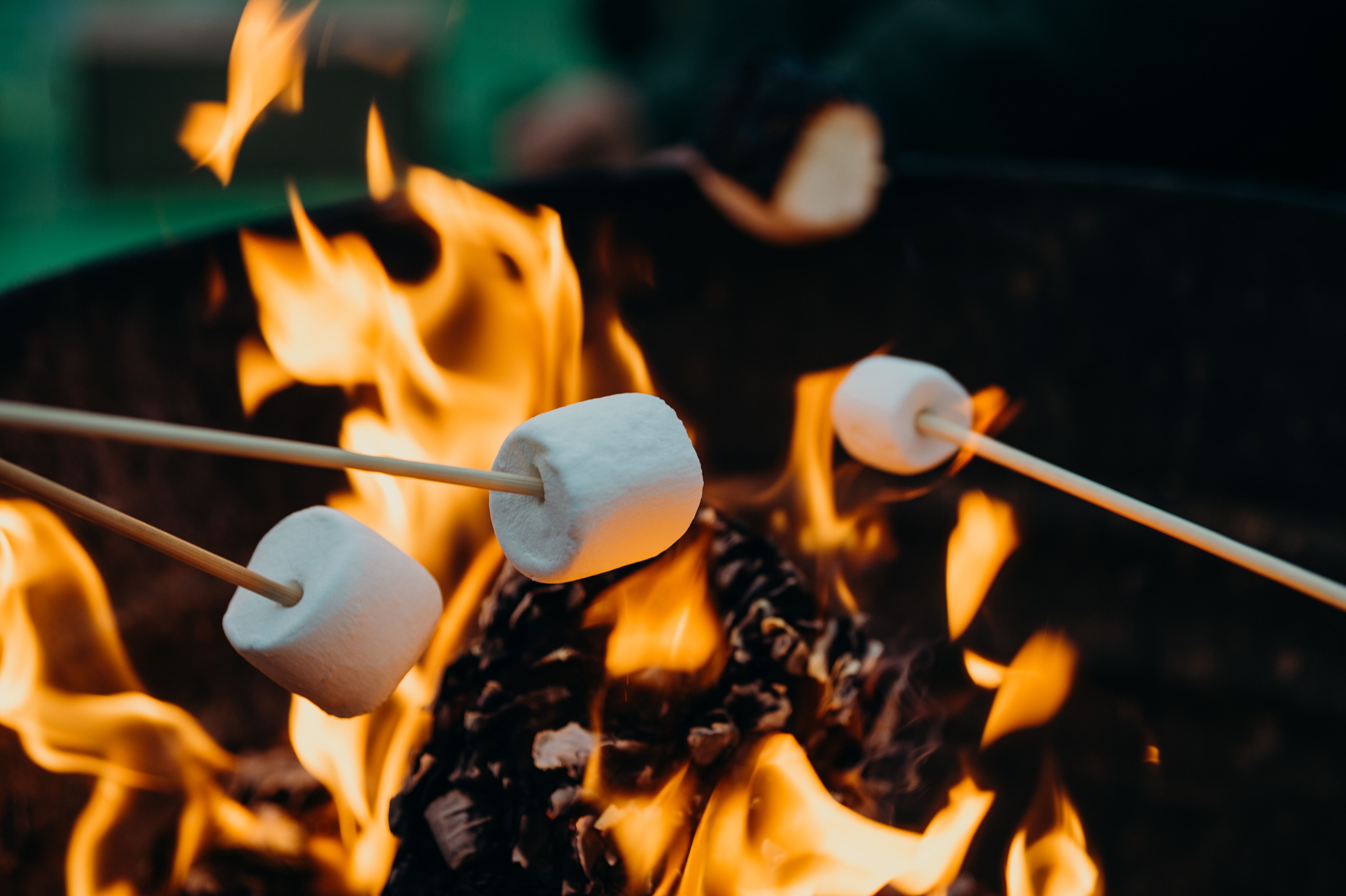 5000x3328 Tips for Cooking Over a Campfire · Jenny in Neverland