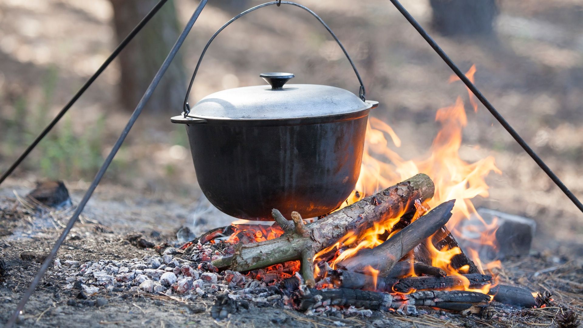 1920x1080 Easy Campfire Recipes That Kids Love To Make. Environmental Nature Center