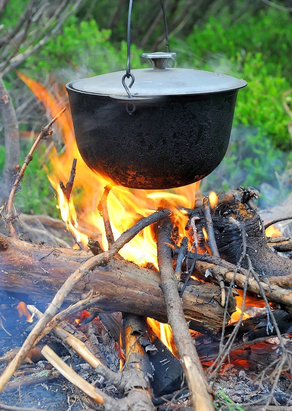960x1353 Cooking In The Nature Flame Wood Firewood Photo Background And Picture For Free Download