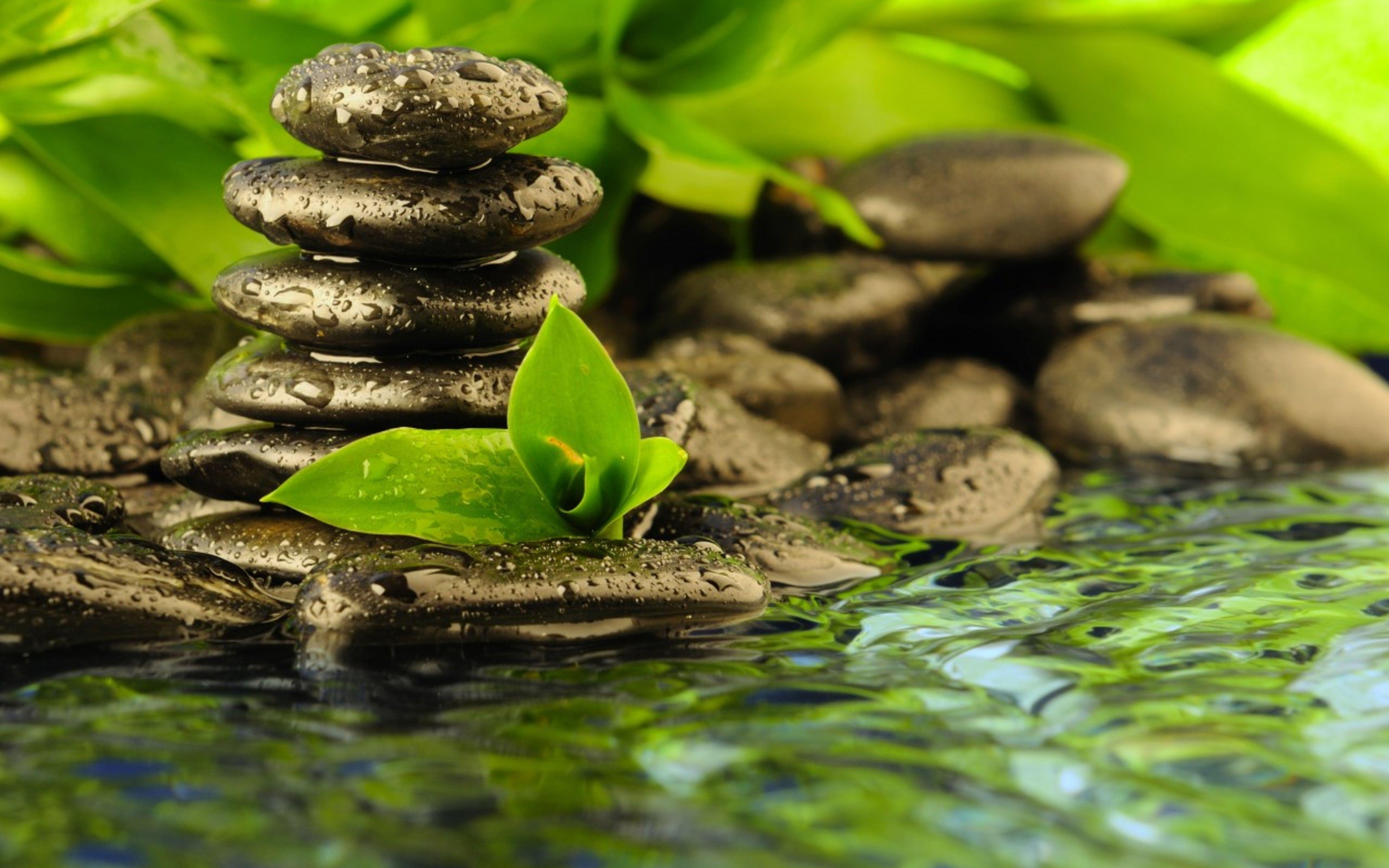 5120x3200 Free download Therapy with stones and water [5120x3200] for your Desktop, Mobile & Tablet. Explore Stone Water Wallpaper. Stone Water Wallpaper, Water Wallpaper, Wallpaper Stone