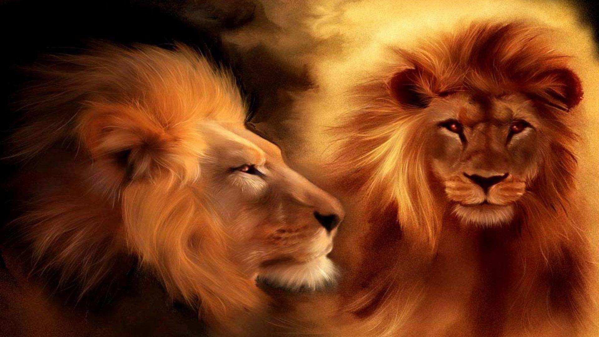 1920x1080 Lion Face And Profile Wallpaper HD 3840x2400 :