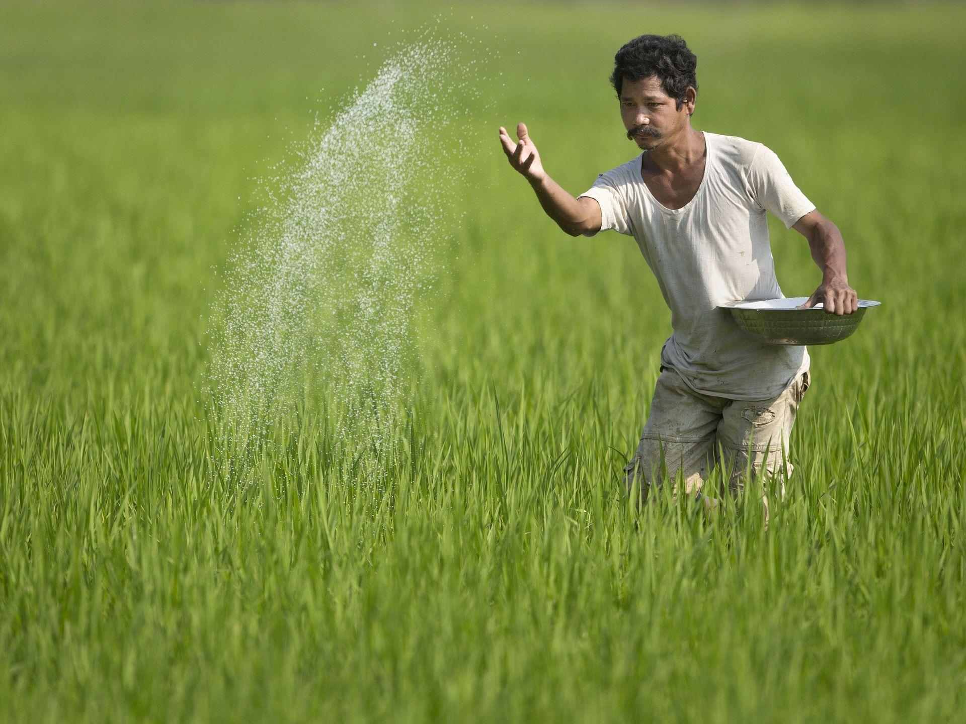 Indian Agriculture Photography