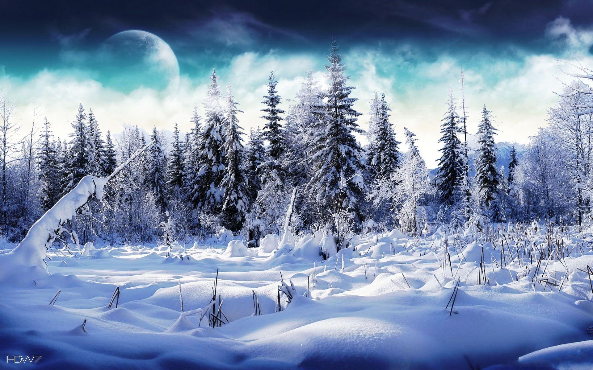 Featured image of post Beautiful Winter Fantasy Wallpaper 8 2759 fantasy girl flower beautiful art 4k