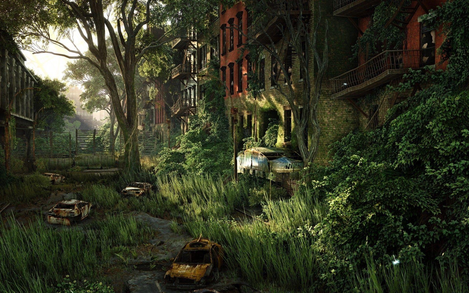 1920x1200 forest, Nature, Overgrown, Crysis 3 Wallpaper HD / Desktop