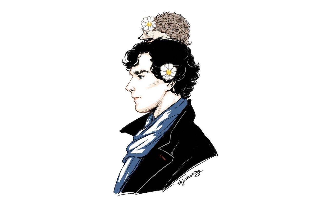 1332x850 Wallpaper Sherlock Holmes, hedgehog, Benedict Cumberbatch