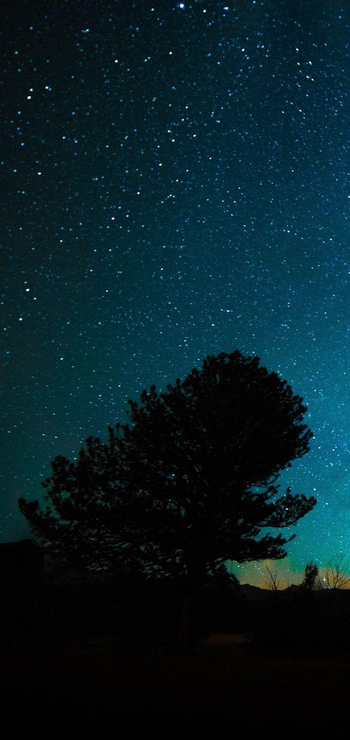 720x1520 Beautiful Collection of Samsung Galaxy M10 Wallpaper
