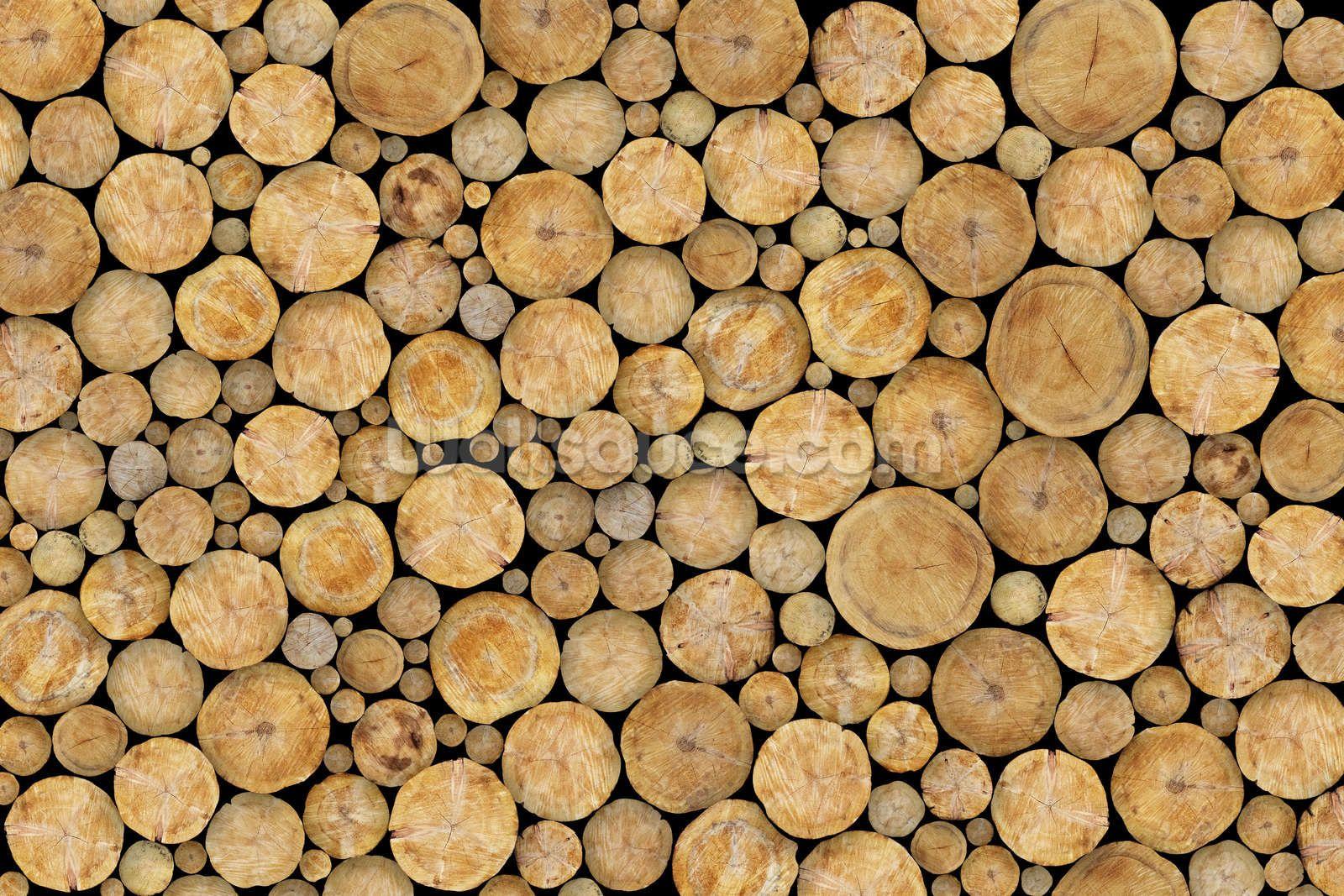 1600x1067 Log Background. Cute Blog Background