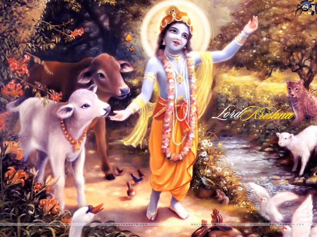 Lord Krishna 4K Wallpapers - Top Free Lord Krishna 4K Backgrounds