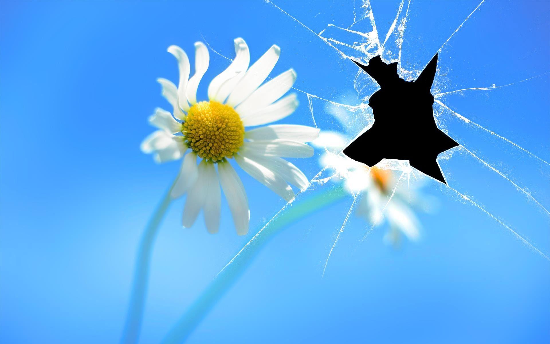 1920x1200 Realistic Cracked Screen Image HD Wallpaper High Definition Cool