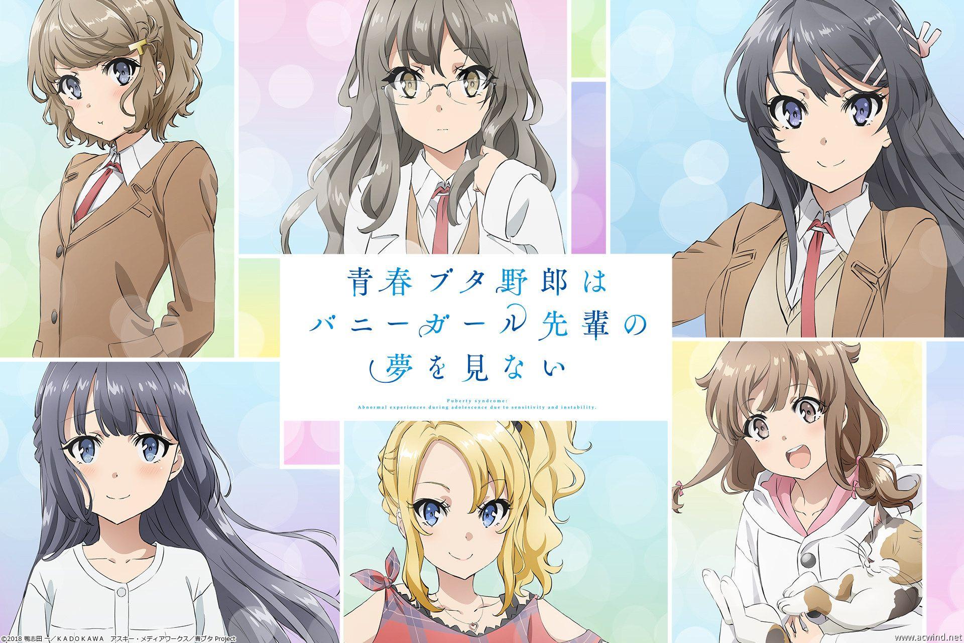 Rascal Doesn't Dream Of Bunny Girl Senpai Rascal Does Not Dream of Bunny Girl Senpai Desktop Wallpapers - Top