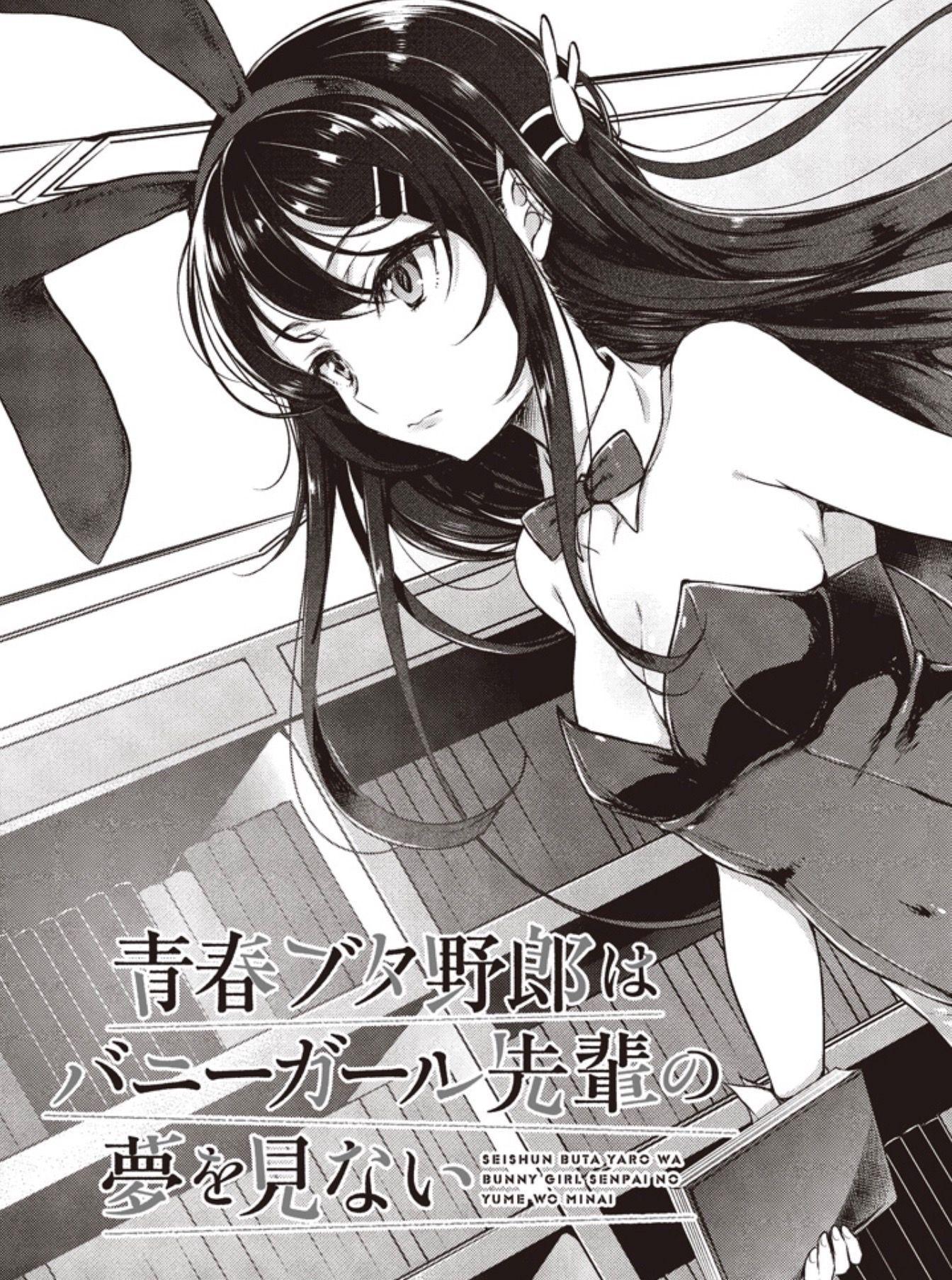 Rascal Does Not Dream Of Bunny Girl Senpai Hentai