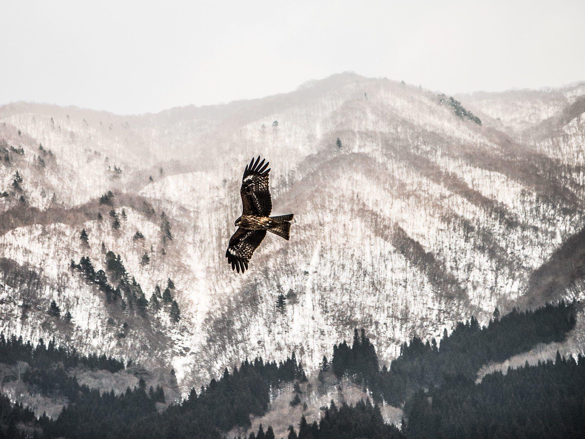 2048x1536 Visiting The True Japan: A Quiet Escape to Gokayama and Shirakawa