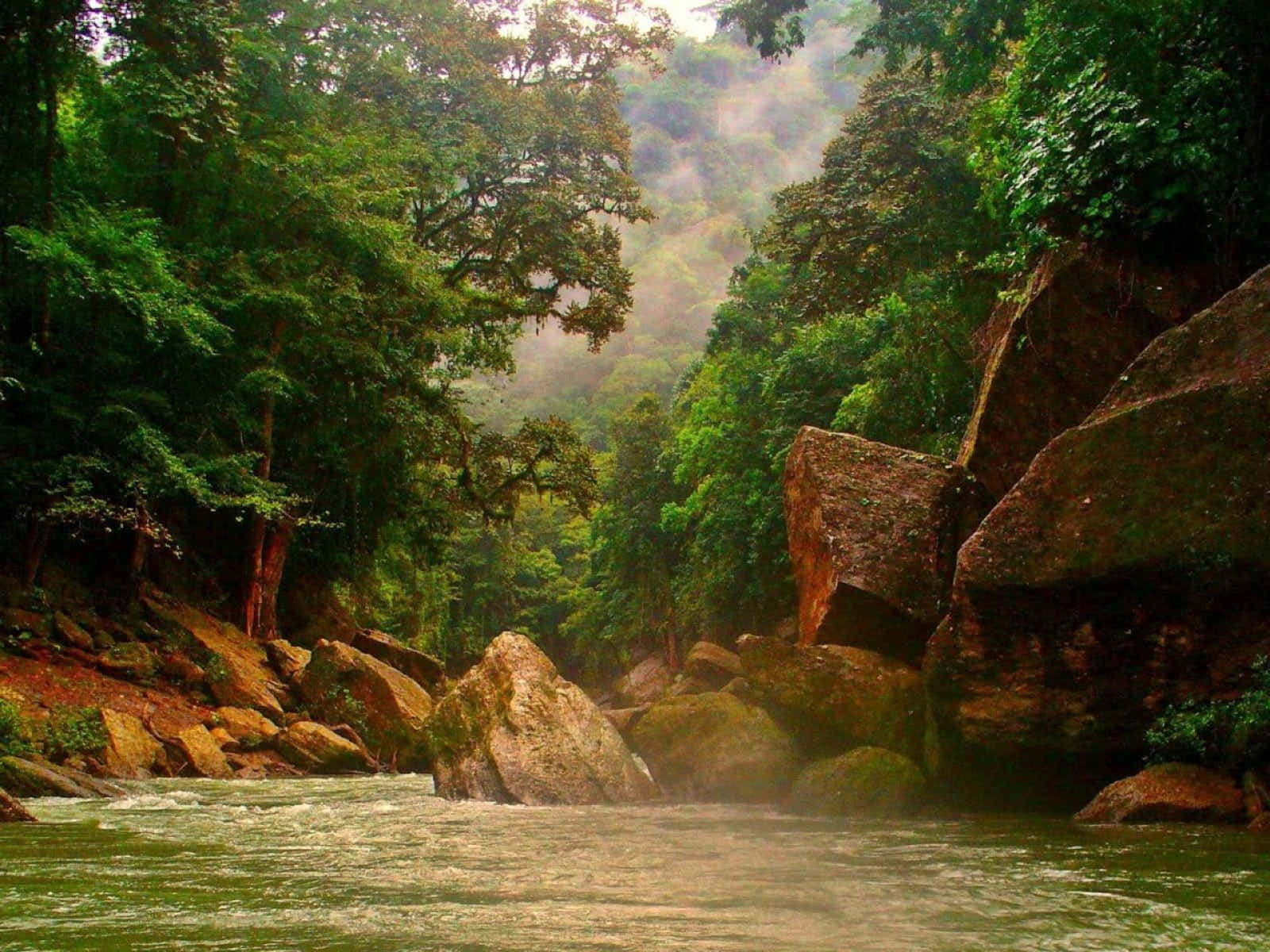 1600x1200 Download A River In The Jungle With Rocks And Trees